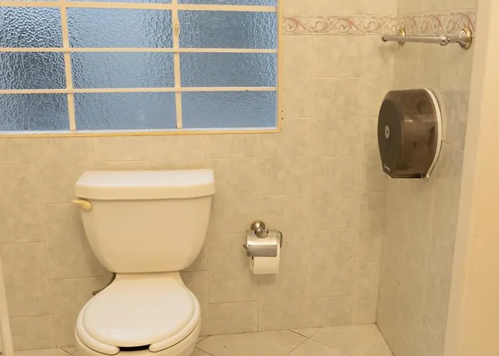 La Ceiba Hostel Mexico City